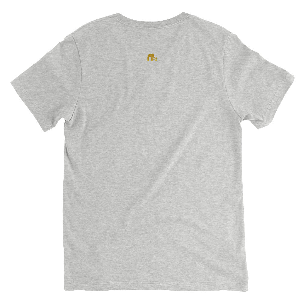 Gold Standard Africa Adult Unisex V-Neck Tee