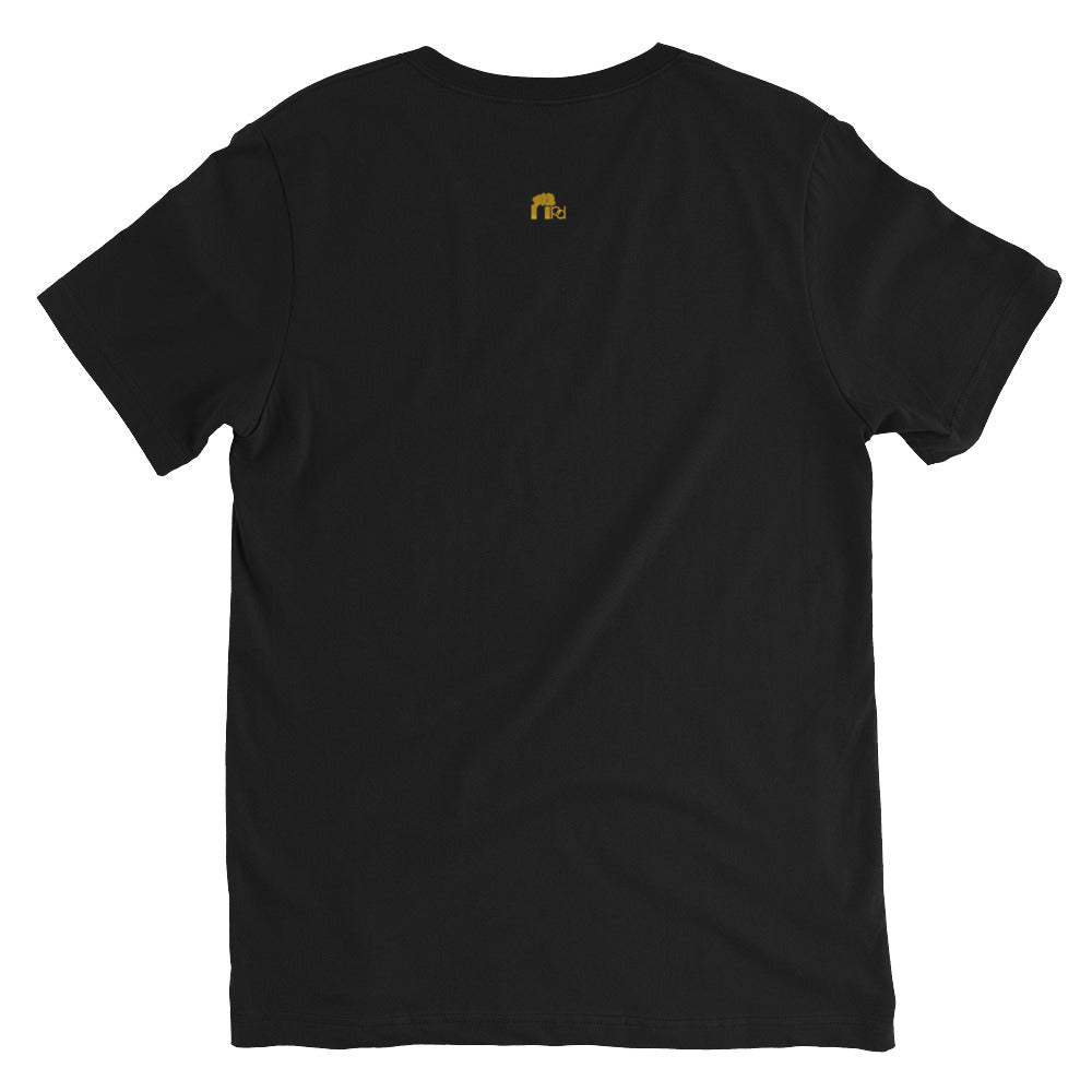 Gold Standard Africa Adult Unisex V-Neck Tee