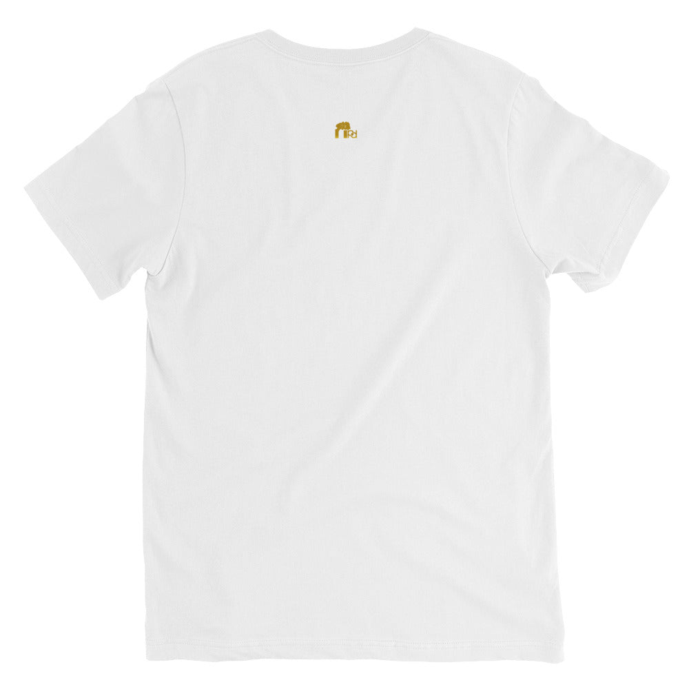 Gold Standard Africa Adult Unisex V-Neck Tee